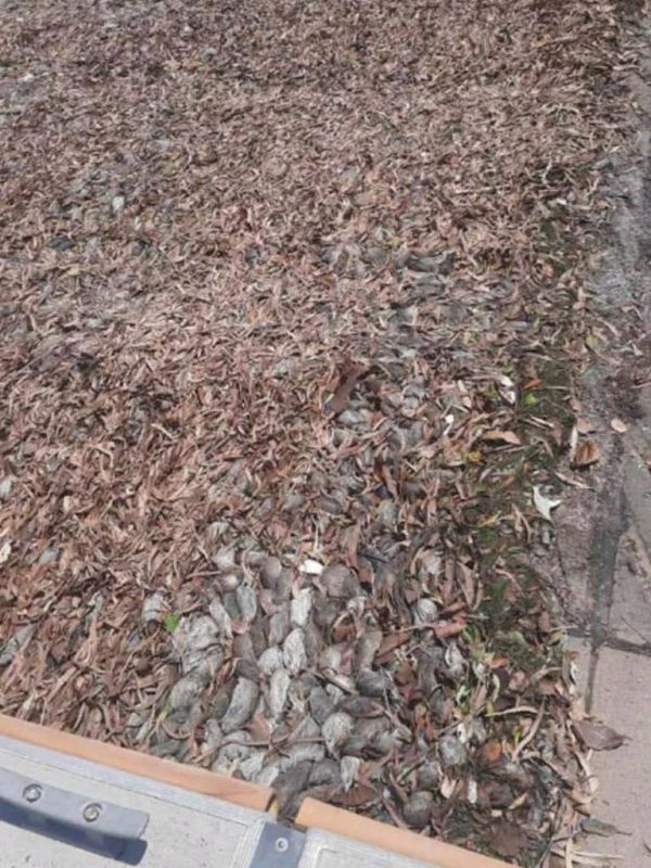 ������� ������ ����� �� ������ ������� ��� ��� ��� ������ �����. ��� �������!�