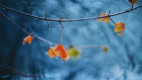 ������ ������� � ����� ���������� ������� ����������