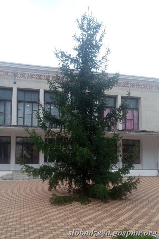 �� ������� ���� �������� ������� ����� ��������� ���� ��������� ���������� ������