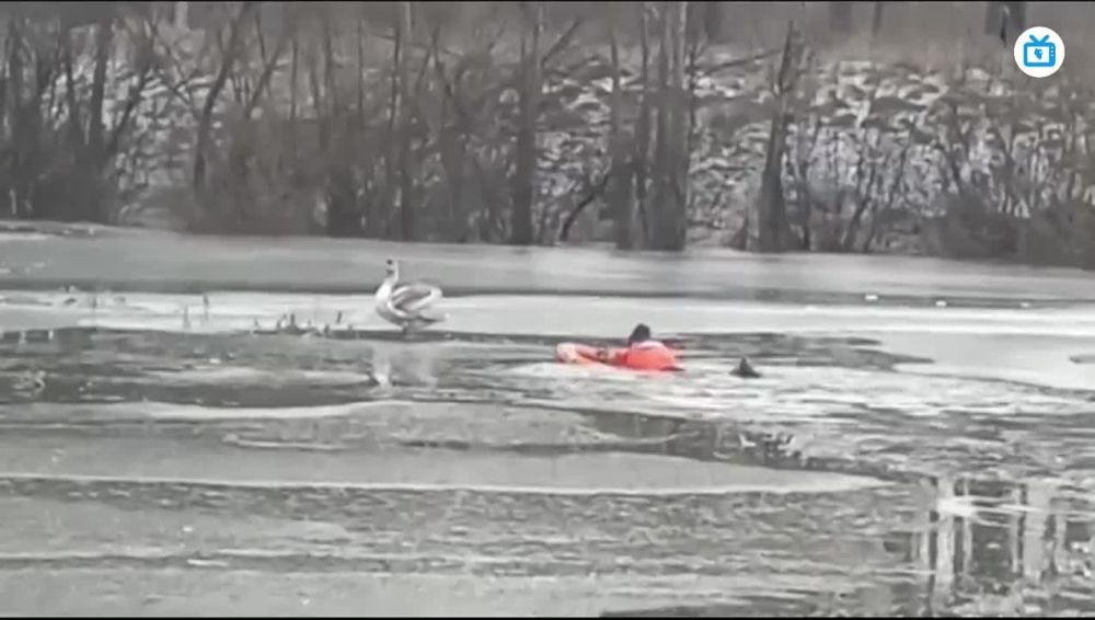 �������� �� �������� ������ � ��������