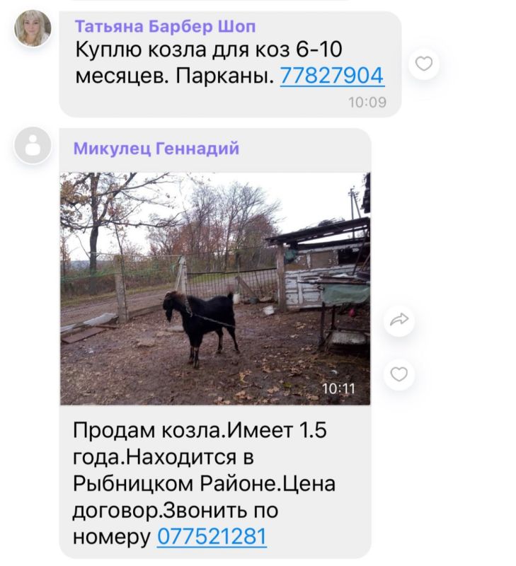 � ���� ������� �������� ������� ������ ��� ����� ������ �����