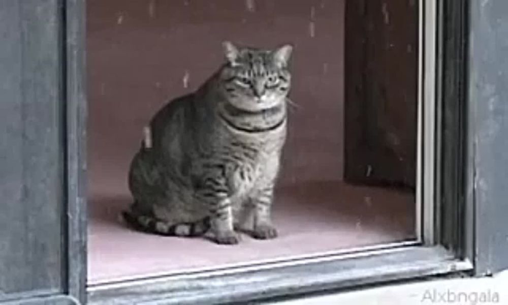 � �������� ����� � �������