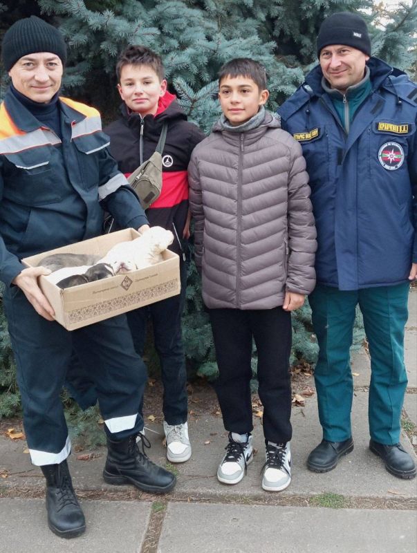 ������ �������������� ������� �� �������