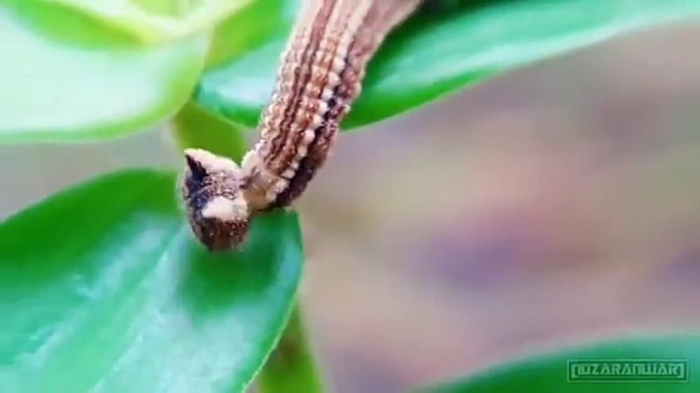 �������� ��������� �������� ���������� ������� �� ����� �� ������ �� ����