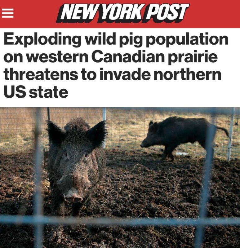 ��������� ��������� ����� ������ � ������ �������� ���������� � ����: ������ � ������� ��� ������� � �������� ������� - ��������� ����������� ����� ������� �� ���. ��� ��� �� �� ����������� ������ ����������