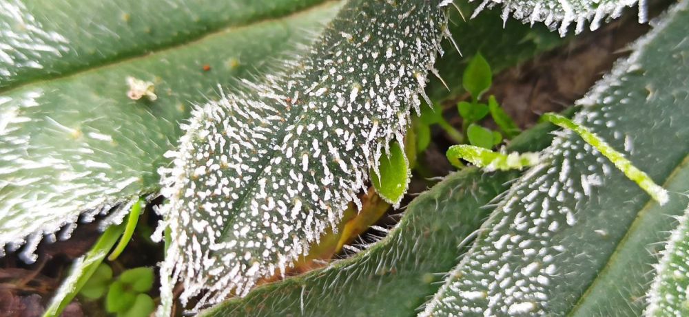 �������� ���� � �������. ���� �� �����������