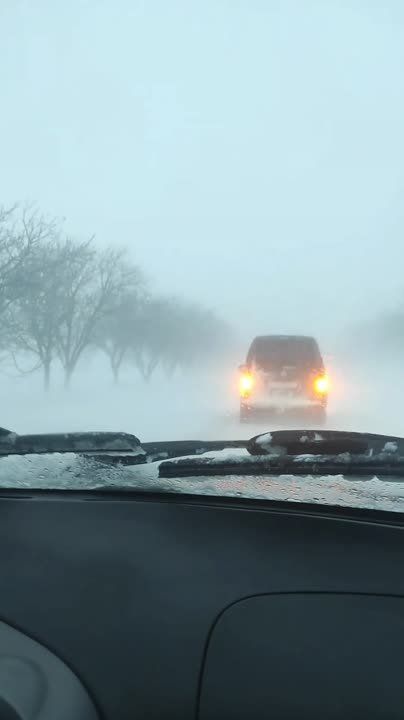 ������ ���������-������������