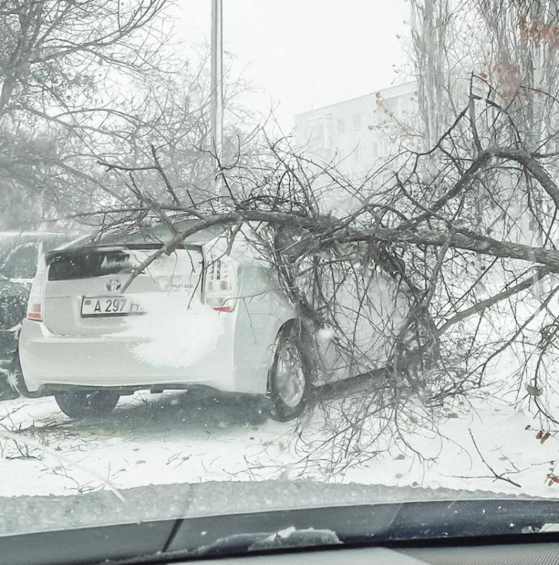 � ��� �������.