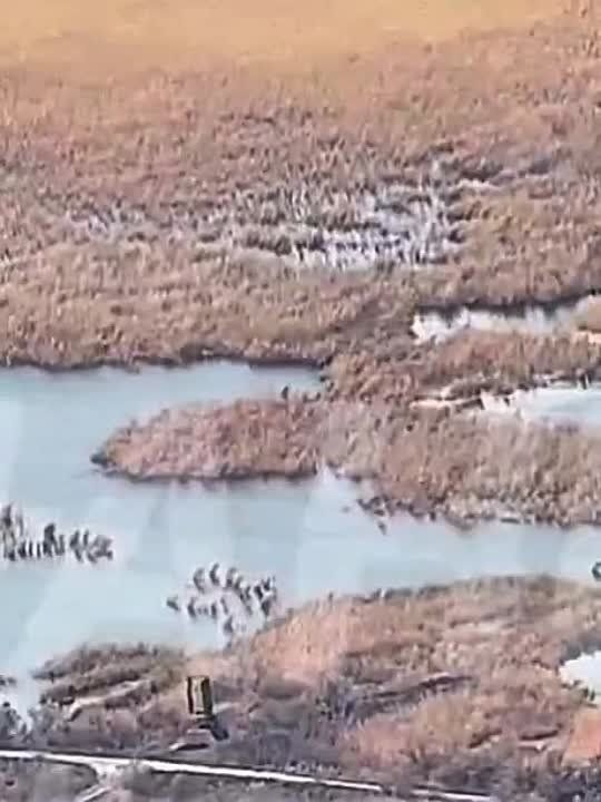 ����� ����������� ���������� ��� �� ���������������� �����������