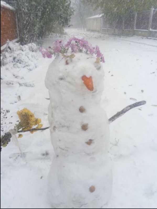 �� ��� ������ ���������� ��������