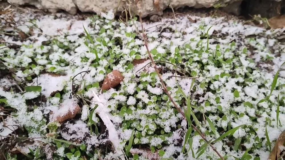 � ��������� ������ ���������� ��� �� �����, �� ������ �������� � ����������� �������, � ���� ������ �� �����������