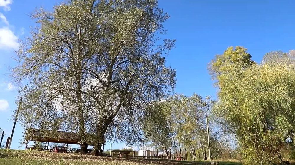 ������� � ����� ����� � �����