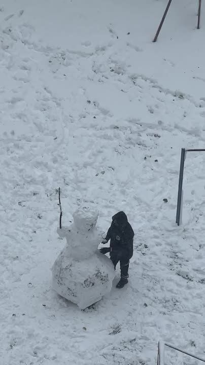 ������ �����