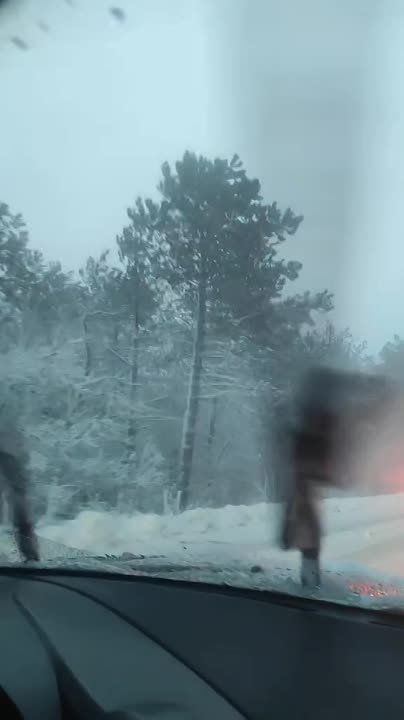 �� � ������ �������� ��� �������