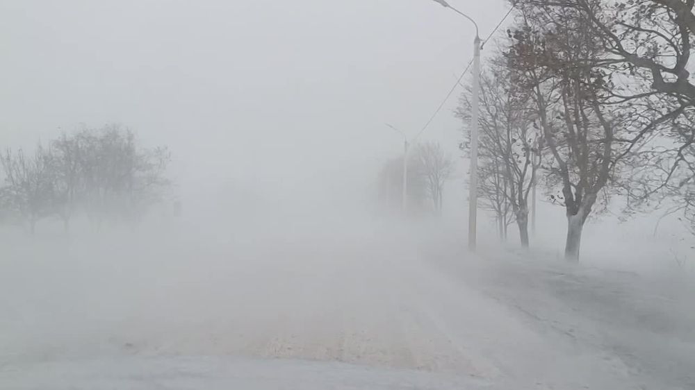 ��� ��� ������ �� ������� ������