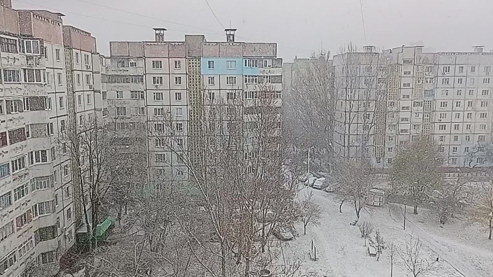 ���� �������� �� �������