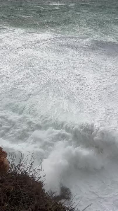 "������� ����" ������� ��, ��� ������ ���������� � ������ ����