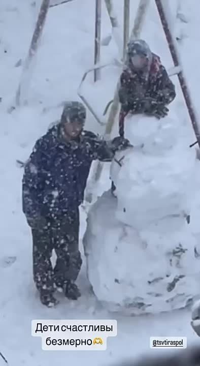 ���� ���� ����