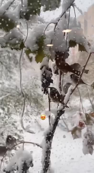 ������� ����� �������.