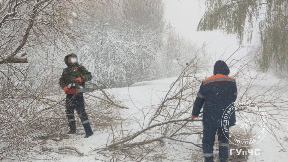 �� ������ � ��������� ������������� 117 ����������� ����� � 16 ������ �������������� ��� ���������� ����������� �������� � �������� ������ ���������