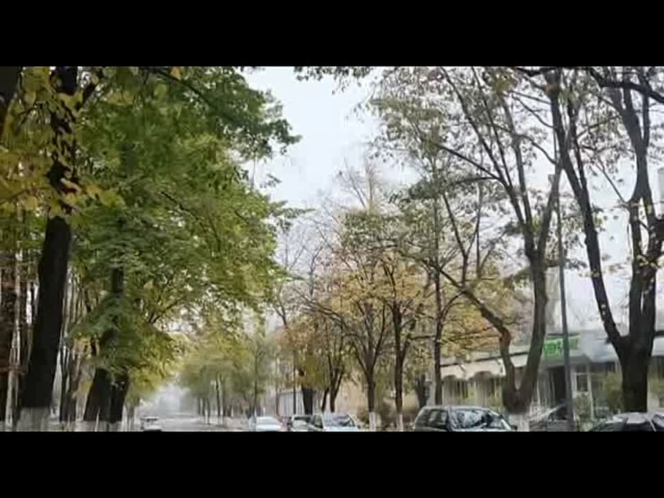 ��������� ����� ���� �������� ����� - � ����������� ������� �������