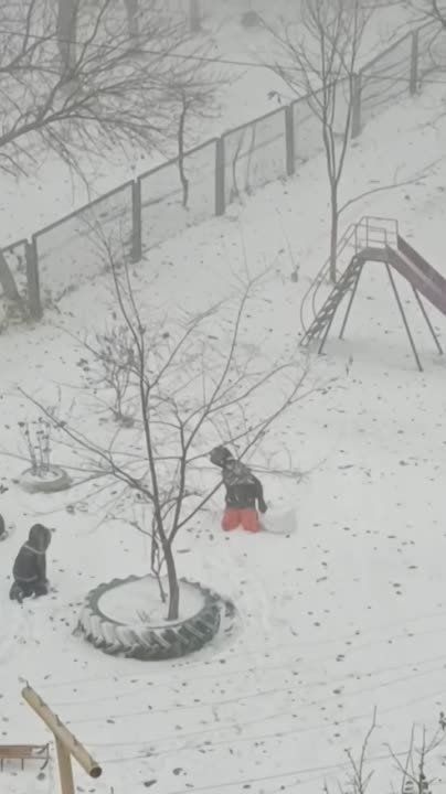 ������� �� ���� ������ ������