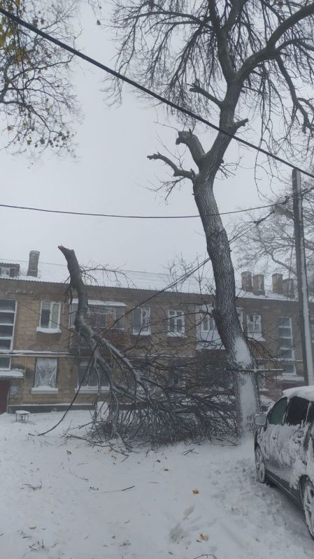 �� ����� ���������� �������� �������