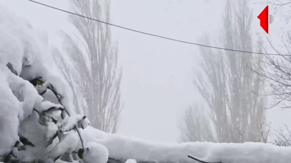 ����� � ����������. ���� ��� ������ � ���������� �����