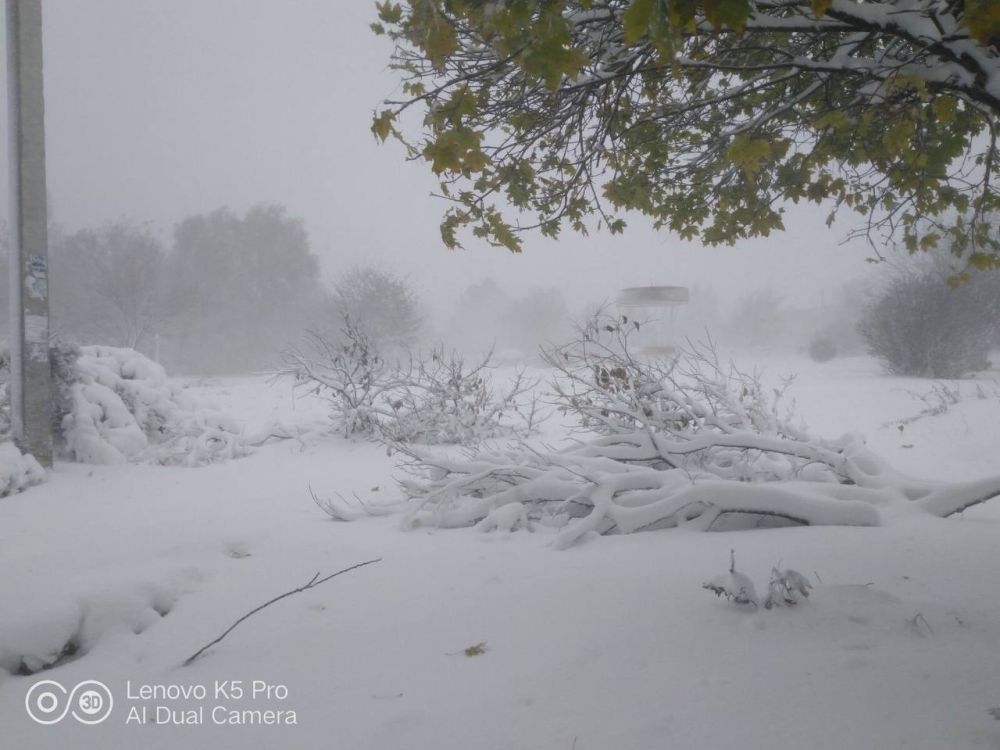 ��������� ���� ������ �������� ��� �����