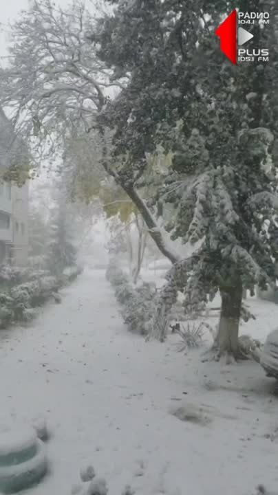 � ������� ����� �������� �� ������ � ������ ������� ����