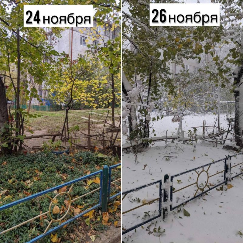 ���������� ������� ���������� ������ ����� � �������� � ��� ���