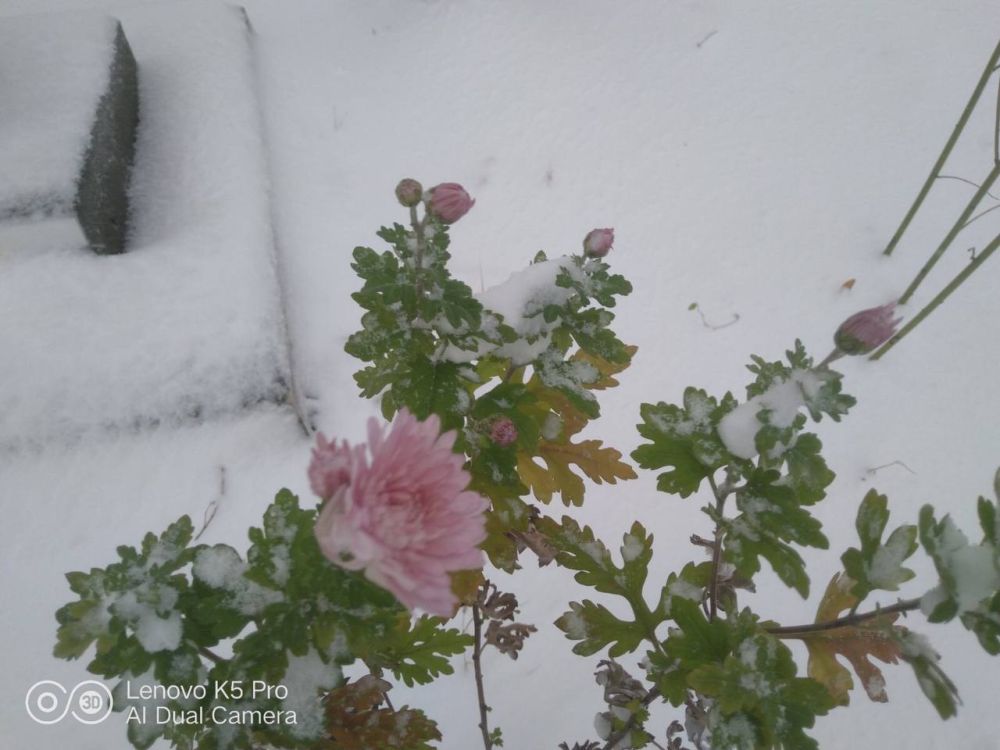 ������ ��� ������ �������� ����������