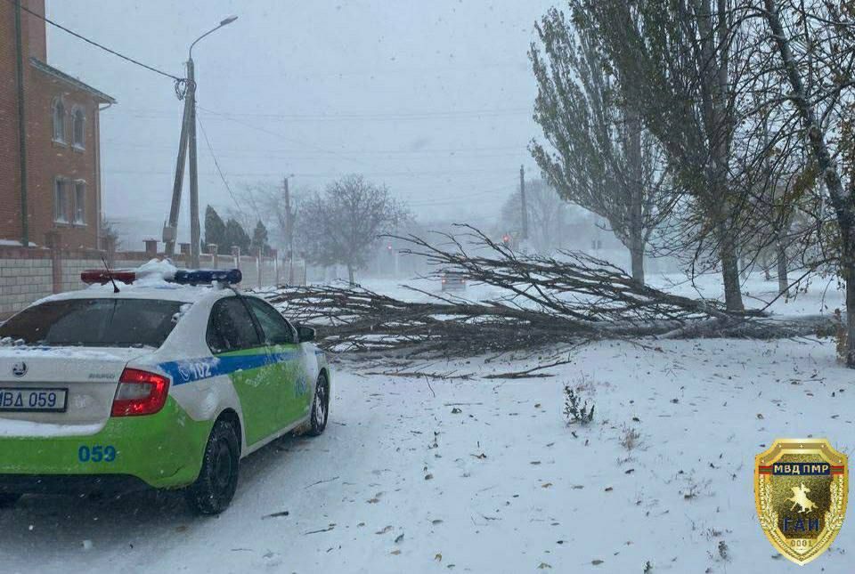 �������� ���������!. �� ��. �������� �. ���������, ��������� �� ������, �� �������� ����� ����� ������. �������� ����������