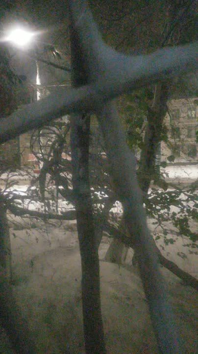 ������������ ������� ����� �������� ����