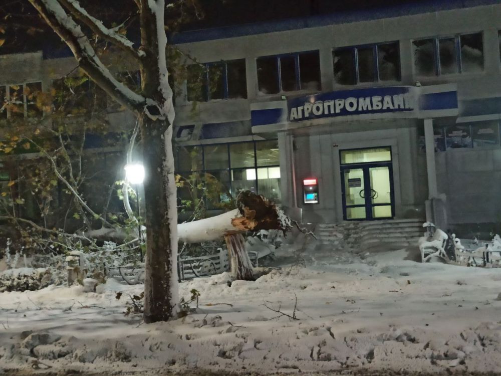 ����������, ������ �������� ���.