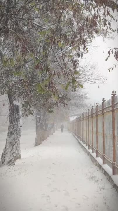 � ������ ������!