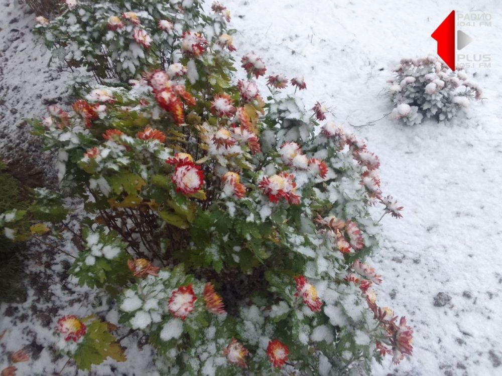 ������� ����� ��������� ����� �� ���