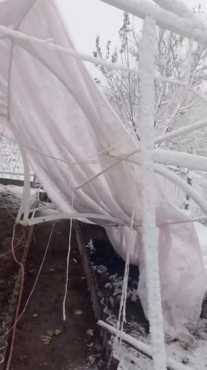 ���� ��������� �������� ��� �����