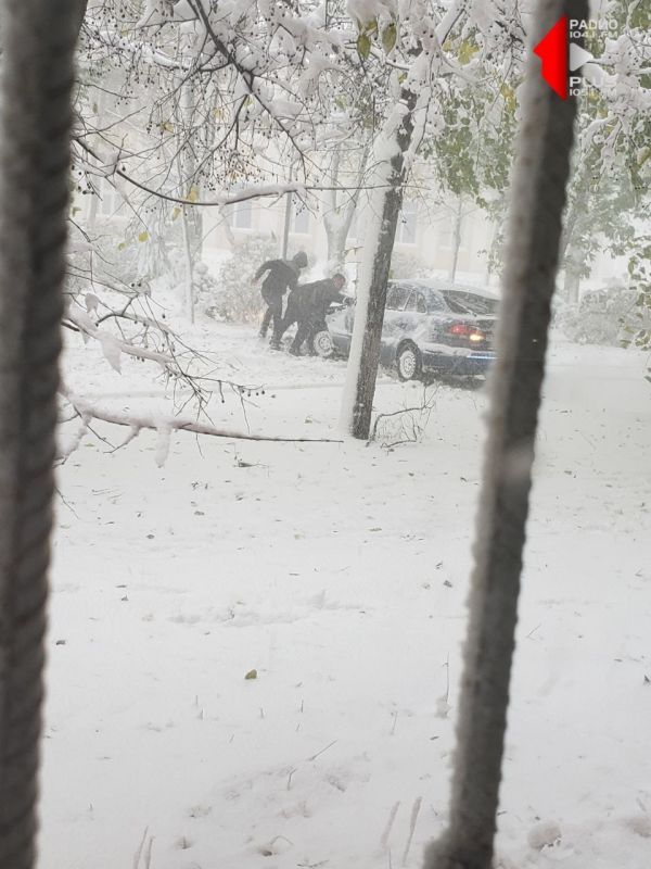 ������� ��������. ������ ����������, �������� �������