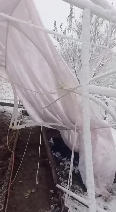 ���� ��������� �������� ��� �����