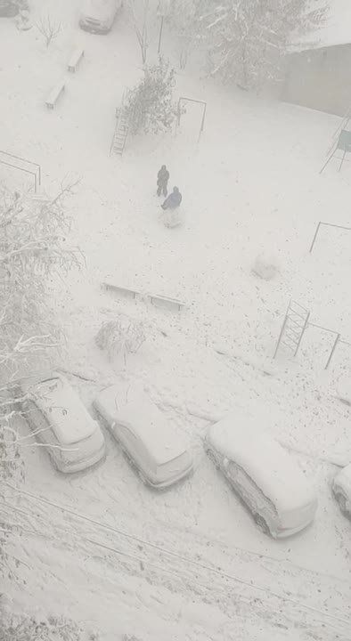 ����� ���� ��� ����� �������