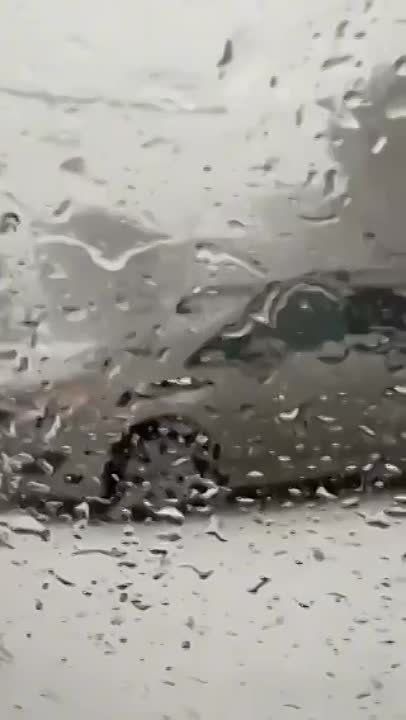 ������ � ������ ��������� �� �������.