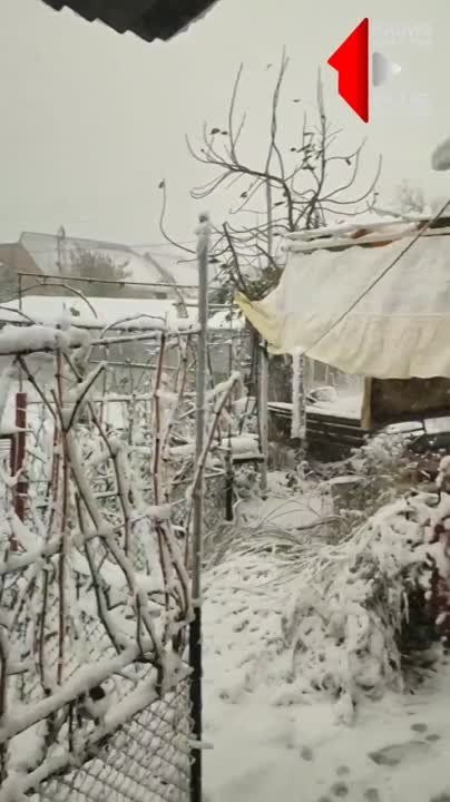 ���� � ������������