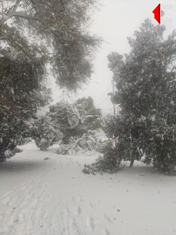 ���������, ��.���������. ������ �� ��������� ������ �����