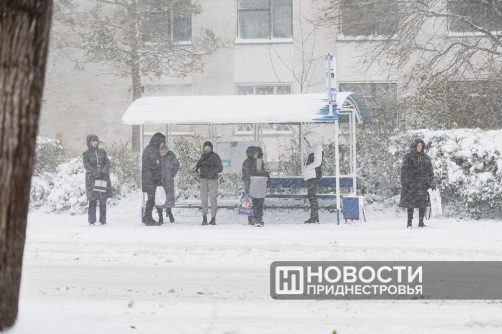 ������� ��� �������� � ������ �� ��� �������������, ������� � ��������������