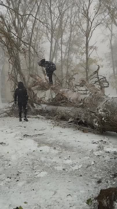 ������ ������ ���� �� ��������� � ������ ����� ������