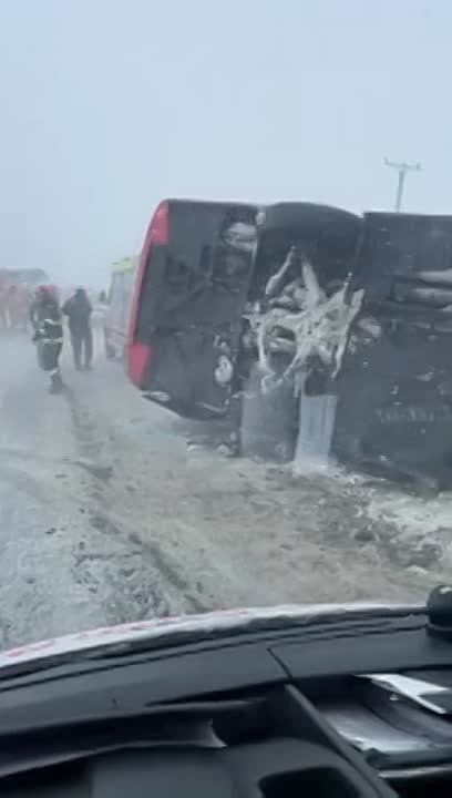 ������������ ������� ������� - ����� � �������