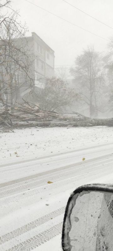 � �������� ������ ������ ���� �� ���������, � ������ ����� ������