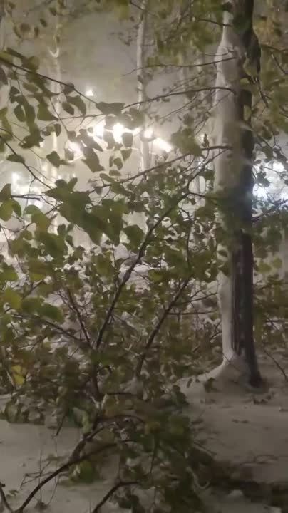 ��� ����� �������� �������� �������