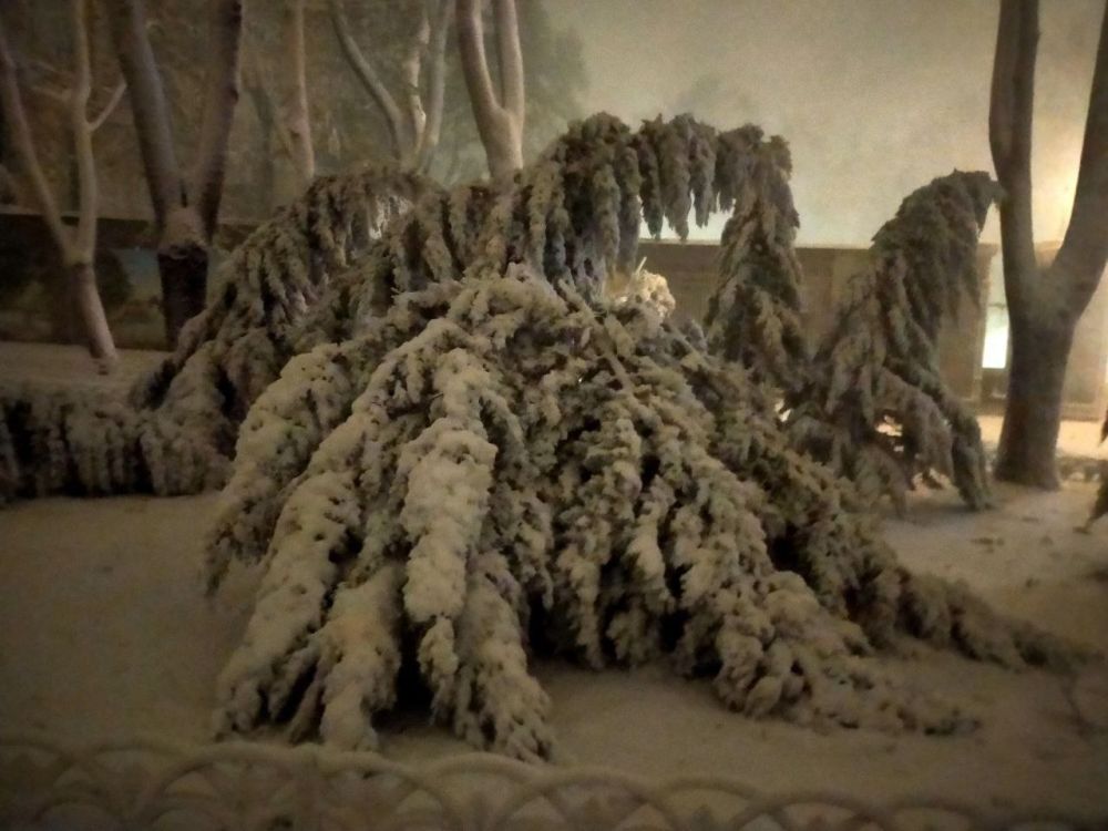 ������ �� �����. ��� ���� �������� ����� ����.